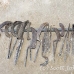 shop_alabaster_lux_h_0017_egy2083.jpg